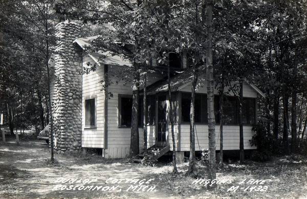 Dunlop Cottage Higgins Lake (newer photo)
